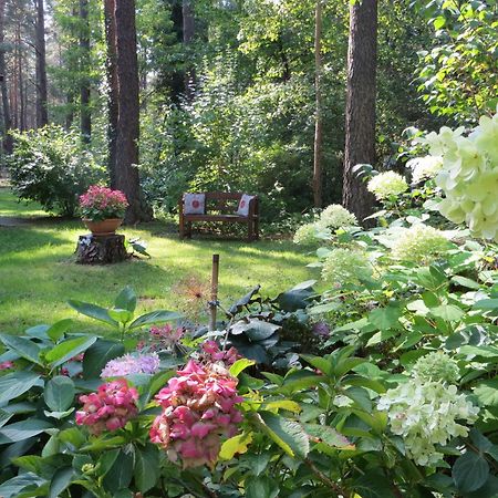 Kastavengrund - Ferienhaeuser Mit Kamin Лихен Экстерьер фото
