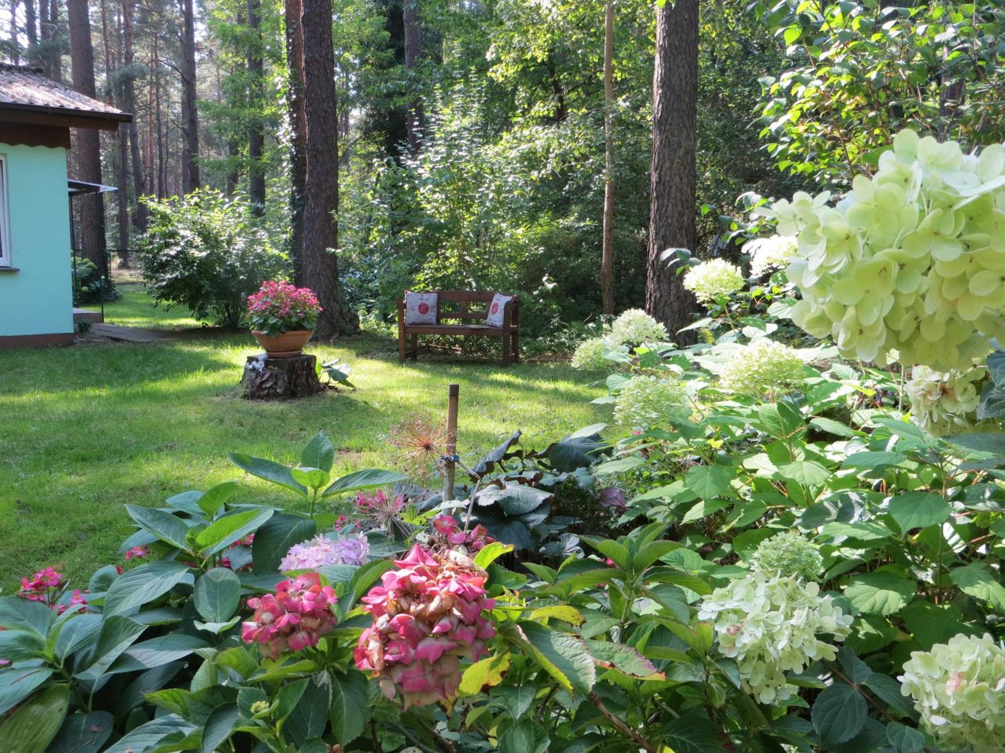Kastavengrund - Ferienhaeuser Mit Kamin Лихен Экстерьер фото